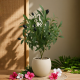 Artificial Plant